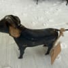 A whimsical metal dog figurine brings rustic charm to any gift moment-perfect