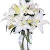 This pure white bouquet of Casa Blanca lilies makes an elegant statement