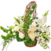 Round Basket With Liner For Wet Floral Foam, Grapevine (Shaped Into A