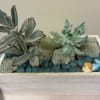 Soft blue-green succulents meet coastal whimsy in this Under The Sea Succulent
