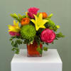 Bright, cheerful, and full of personality, Color Me Happy is a vibrant