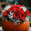 Embrace the warmth of the season with our Scarlet Harvest Pumpkin, a