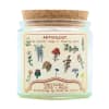 Anthology - the scientific study of flowering plants 

Stop and smell the
