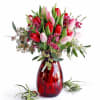 Pink and red tulips arranged in a red glass vase