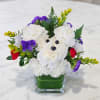 Bring a smile to anyone's face with this undeniably adorable, handcrafted floral