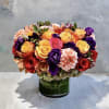 Premium Roses, Hydrangea, Lisianthus, Cymbidium Orchid and more.. 