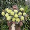 Person holding a large bouquet of pale green roses