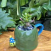 A living succulent selected and grown to complement a mug about 4