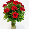 Red carnations arranged in a clear glass vase