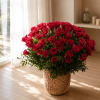 A dense, rounded dome of vivid red roses creates an immediate impression