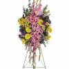The glorious pink, yellow and purple blooms of this bright, uplifting spray