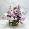 A soft and elegant round wicker basket featuring a mini double orchid