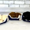 Three plush puppies lying in blue pet beds