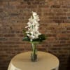 White orchids arranged in a clear glass vase on a table