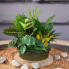 Mixed potted plant arrangement in a dark ceramic bowl