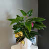 A great mix of green blooms with a yellow and black bow