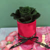 Everlasting preserved rose, touch of nature&rsquo;s elegance, beauty low maintenance. 

Preserved roses