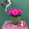 Everlasting preserved roses, touch of nature&rsquo;s elegance, beauty low maintenance. 

Preserved roses