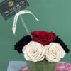 Everlasting preserved roses, touch of nature&rsquo;s elegance, beauty low maintenance. 

Preserved roses
