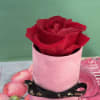 
Everlasting preserved roses, touch of nature&rsquo;s elegance, beauty low maintenance.

Preserved roses are