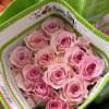 20 Premium Roses, Handpicked and Imported Directly from Ecuador