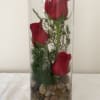 Three red roses in a tall glass vase with pebbles