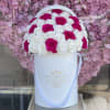 Pink and white roses arranged in a white hat box