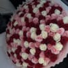 Large bouquet of red, pink, and white roses wrapped in pale pink paper