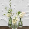 The Weekly Trio: Ever-Changing, Always Elegant.

Elevate your floral standards with our signature