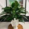 Potted green houseplant in a white angel planter on a wooden tray