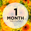 Bright yellow and orange flower arrangement with a "1 Month Subscription" overlay