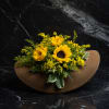 A cluster of bright yellow sunflowers arranged low and wide across in