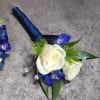 A boutonniere of white spray roses, dark blue belladonna, dark blue ribbon