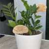 Potted green plant with decorative beige mushroom picks