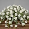 Large white carnation spray on a wooden casket