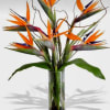 Bird of paradise arrangement in a clear glass vase