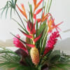 Island TLC Is a relaxing delightful mix of the islands most exotic