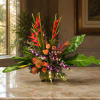 The essence of the tropics 