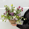 A beautiful Seasonal garden designed in cement planter. 
A mix of 4-6