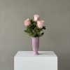 Three pale pink roses in a pink vase