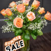 This fun and unique variety of rose called Wild Spirit is available