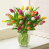 Bouquet of multicolored tulips in a clear glass vase