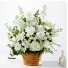 Let this exquisite composition of beautiful white blossoms deliver your sympathy and