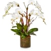 Lasting white orchid  plants arranged in an elegant pot 
