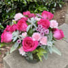 Charming and compact, featuring bright pink roses nestled among soft carnations and