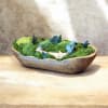 Low moss arrangement in a shallow wooden bowl with small blue accents