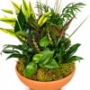 Bring warmth and natural beauty into any space with our 12" Terra