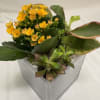 A compact, modern centerpiece that brings a fresh, contemporary vibe - this
