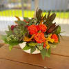 - 6 Orange Roses
- 3 Safari
- 1 Succulent
- Red Mini Carnations
- Fall
