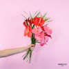 Handheld bouquet of pink and red anthuriums against a pink background